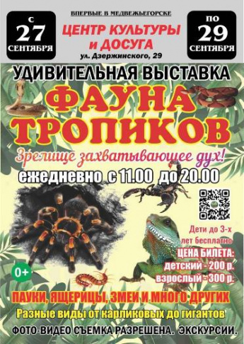 Выставка "Фауна тропиков"